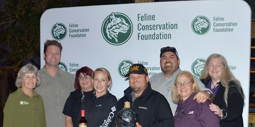 Fourth Annual Felid Fest