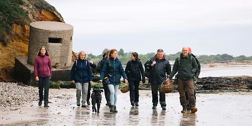Coastal Foraging & Edible Seaweed Course \/ Studland, Dorset