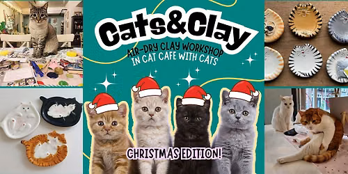 Cats&Clay - clay workshop in cat cafe with cats - Tilburg Christmas edition