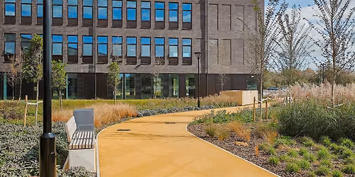 Canolfan Pentre Awel - Rhwydwaith Busnes  | Business Network