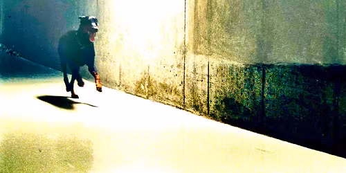 \u00c5bning af s\u00e6rudstillingen Jytte Rex: Dr\u00f8mmen og den rasende latter - Fri entr\u00e9