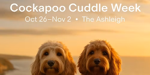 Cockapoo Cuddle Week