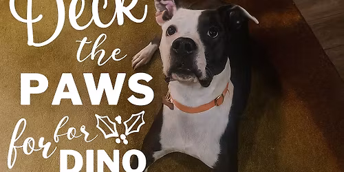 Deck The Paws for Dino! 