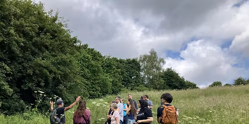 Spring Foraging in Waterside Valley