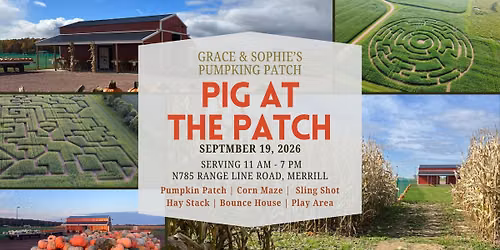 Pig at the Patch
