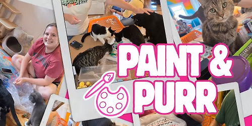 Paint & PURR