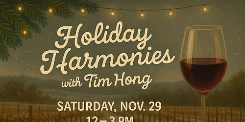 Holiday Harmonies: Live Music with Tim Hong