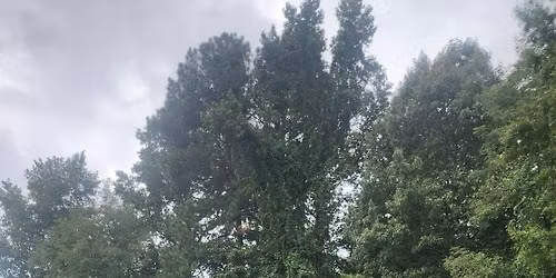 Kristens Kitchen Restaurant Soft Opening 