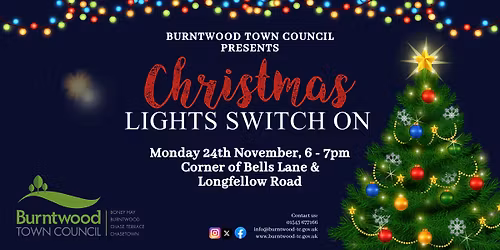 Boney Hay Christmas Lights Switch On