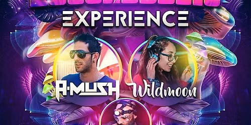 \u2728\ufe0f PSYCHEDELIC EXPERIENCE \u2728
