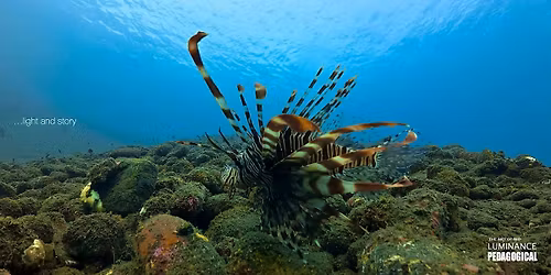 LunchTime Wellness Series -  UW  Imagery  using Action Camera with Zul