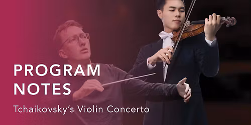 Reading Symphony Orchestra - Tchaikovskys Violin Concerto at Santander Performing Arts Center