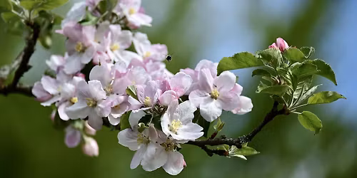 V\u00e5rkonsert med Simrishamn Gospel