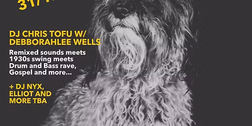 The Prince Albert's New Year's Eve Party