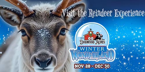 Winter Wonderland 2025