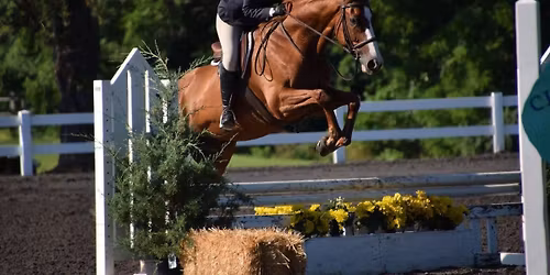 FHY Thoroughbred Show at Montgomery County 4-H Center