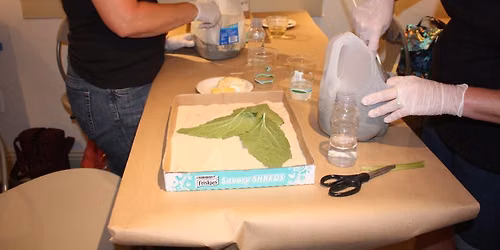  Leaf-Casting Workshop: Section A