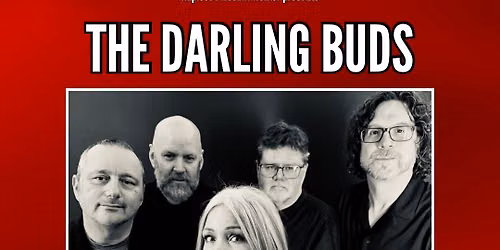 The Darling Buds live in Gateshead