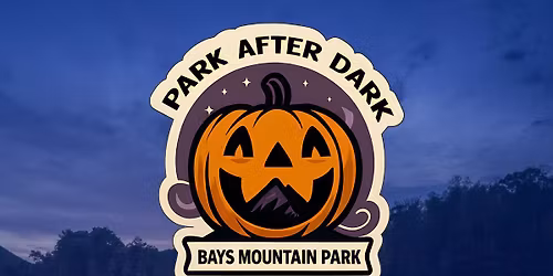 Autumn Park After Dark