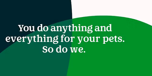 Christmas stray fundraiser