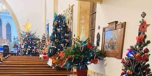 Tree Festival Launch Night