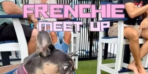 \ud83d\udc36\ud83d\udc95 Frenchies Meet Up at Mutts & Martinis!