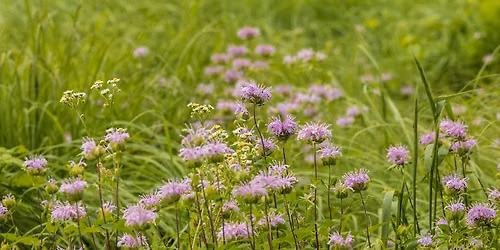 Nature Photography Workshop