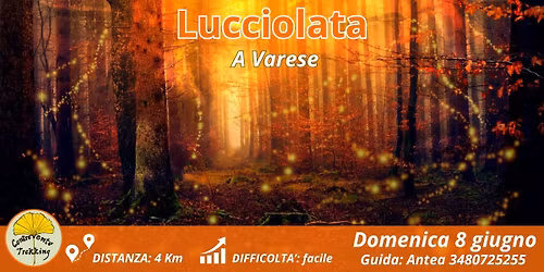 LUCCIOLATA A VARESE