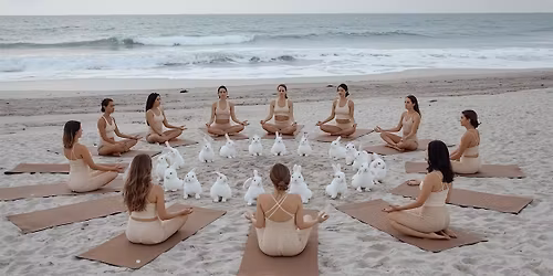 ART BASEL : YOGA WITH BUNNIES at the beach