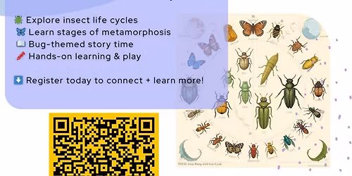 \ud83d\udc1bBugs & Insects: Lifecycle in Action \ud83e\udd97