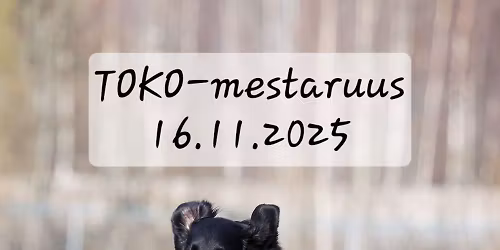 Flattien TOKO-mestaruus