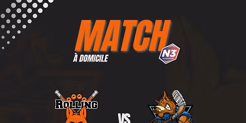Match championnat N3 - roller hockey