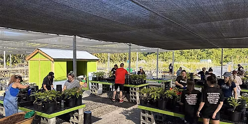 Tree Nursery Volunteer Day | General Public (6\/4\/26)