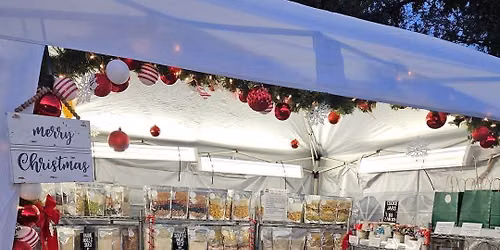 Holiday in the Park League City Dec 4 to 6