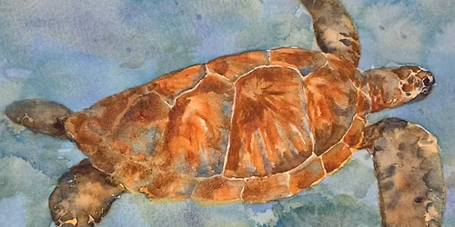 Watercolor Workshop: Turtle