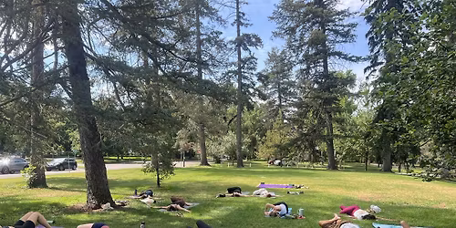 Lifeward Experience: Midday Park Yoga