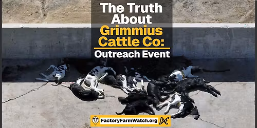 The Truth About Grimmius Cattle Co. Outreach Even