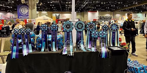 Biewer Terrier National Specialty