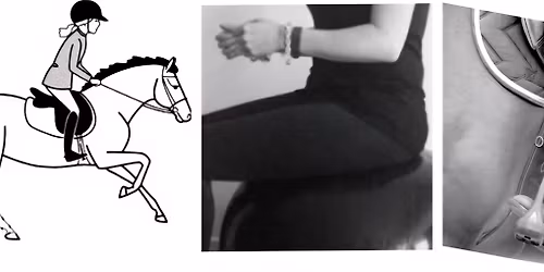 Stage posture et fonctionnement  - de l'Education \u00e0 l'Equitation 