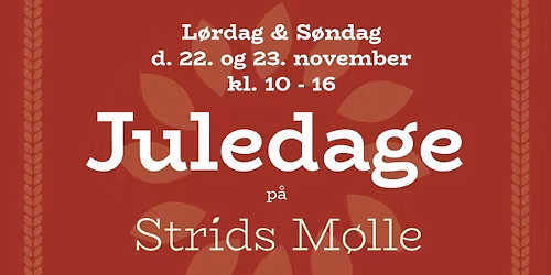 JULEDAGE P\u00c5 STRIDS M\u00d8LLE \ud83c\udf84\ud83c\udf85\ud83c\udffc