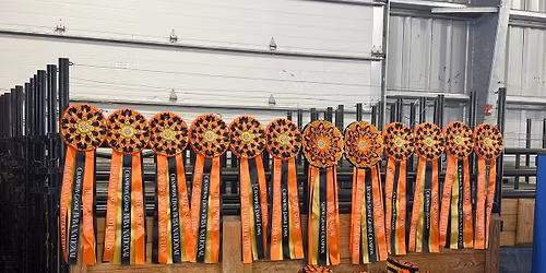 2026 DFFC Spring Show