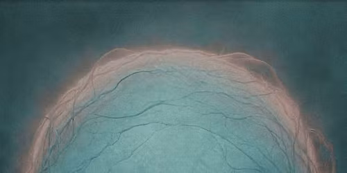 METALOWA INWAZJA NA LUBLIN VOL.2