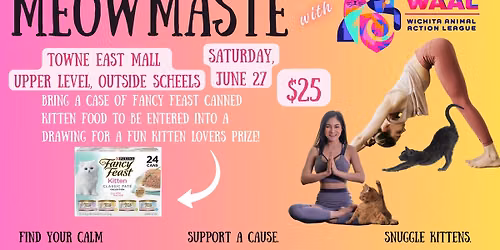 Kitten Yoga at Towne East Mall!