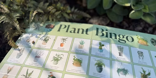 Plant Bingo