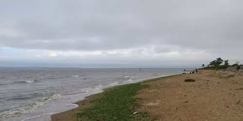 Lemon Creek Pier Beach Cleanup (Sharrott Ave)