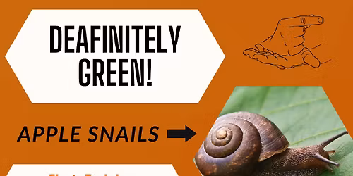 Apple Snails training!