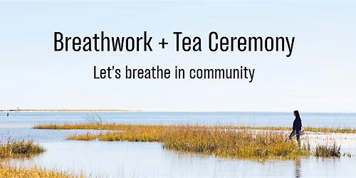 Breathing with Mimosa: A Nature-Based Tea & Breathwork Journey