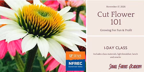 Cut Flower 101