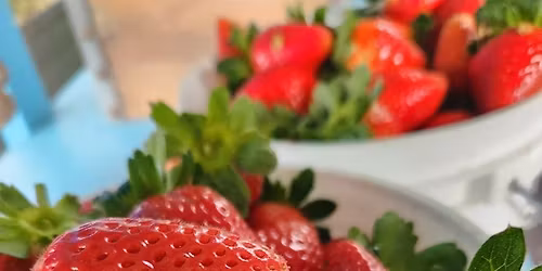 Strawberry picking at the farm.