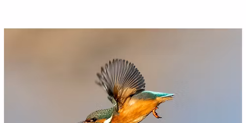 Wildlife Photography Workshop - Next Step